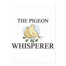 The Pigeon Whisperer Postcards