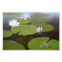 The Pond. Photograph