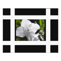 The Portrait Collection Black & White Azalea Art Photograph