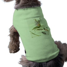 Mantis Dog