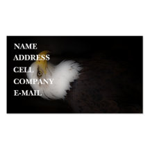 'The Prestigous Bald Eagle' Business Card Template