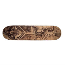 The Principle Organs and Vascular and Urino-Genita Skateboard Decks