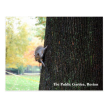 The Public Garden, Boston Postcards