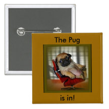 The Pug is in! Pinback Button