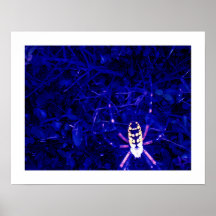 The Recluse Poster