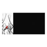The Red Bird by Leslie Peppers Customized Photo Card