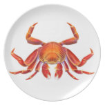 The Red Sally Lightfoot Crab Plate