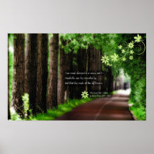 The Road Not Travelled Posters