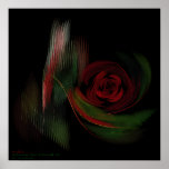 the Rose  004   Art Print