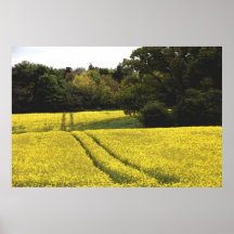 THE SHORT CUT POSTER