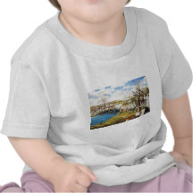 The Shot Heard 'Round the World Domenick D'Andrea Tees