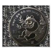 The Silver Panda. Photographic Print