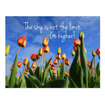 The Sky is Not the Limit Go Higher Post Cards