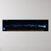 The Star Mira With Flowing Tail Print
