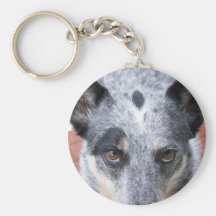 The Stare Down - a cowdog look Keychains