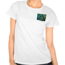 THE STEPS TSHIRT