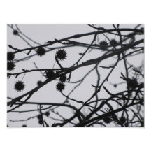 The Stillness of a Foggy Winter Day Photo Art