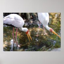 The Stork Brought Me Print