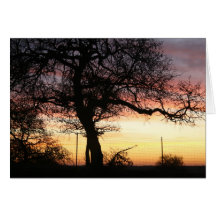 The Sun Peaking in the Sky Card