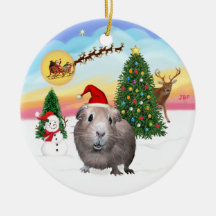 The Take Off - Guinea Pig #2 Christmas Tree Ornament