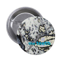 the teeth buttons