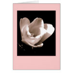 'The Tulip' Blank Note Card