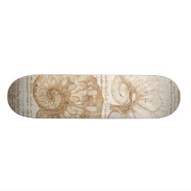 The uterus of a gravid cow skateboards