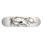 The Venus skateboards