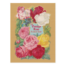 The Vintage Rose Flower Shop Sign Postcard