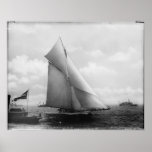 The Volunteer Print