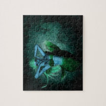 The Water Nymph Puzzles