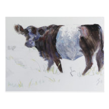 The White Stripe Postcard
