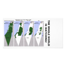 THE WHOLE WORLD PHOTO CARDS