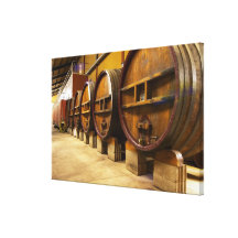 The wine cellar winery with big old wooden casks stretched canvas prints