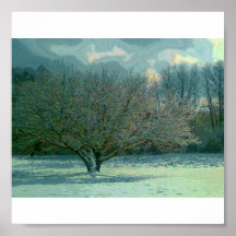 The Wishing Tree on a snowy day Poster