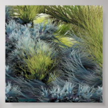 The Wonder of Prairies Poster