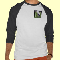 The Wood Stork t-shirts