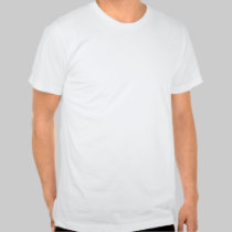Theodore Roosevelt International Highway t-shirts