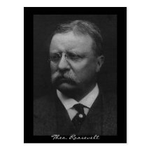 Theodore Roosevelt Postcard