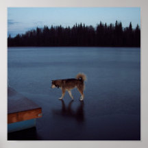 Thin Ice Posters