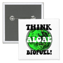 Think algae biofuel! buttons