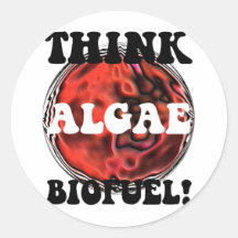 Think algae biofuel stickers