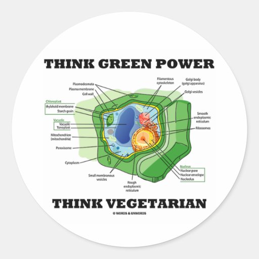 Think Green Power Think Vegetarian (Plant Cell) Sticker