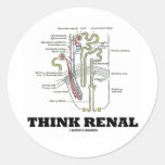 Think Renal (Kidney Nephron) Stickers
