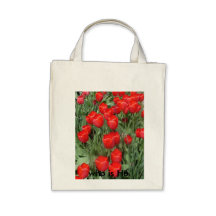 think spring  who is He Bag