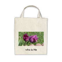 think spring  who is He Canvas Bags