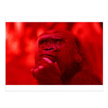 Thinking Gorilla Post Cards