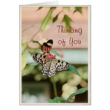 Thinking of You, Butterfly - Blank Card