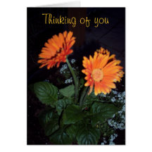 Thinking of you card