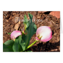 Thinking of you. card